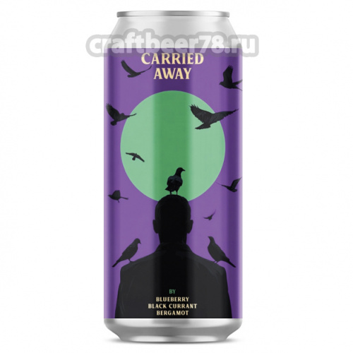 Carried Away (Blueberry, Black Currant, Bergamot) от Plan B - Фруктовый кислый эль 0,45л.