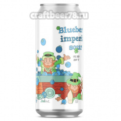 Blueberry Imperial Sour - Godbeerg
