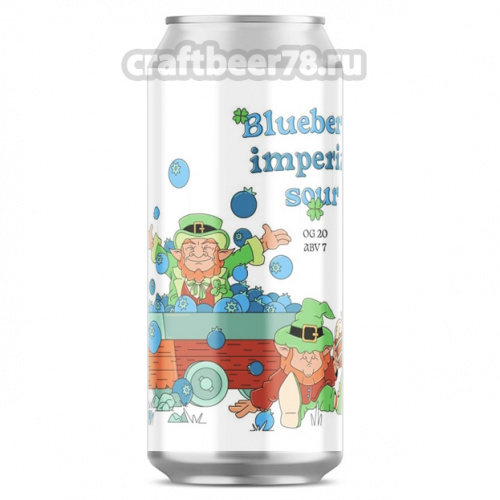 Blueberry Imperial Sour от Godbeerg - Кислый стаут 0,33л.