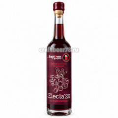 Electa ’26 - Bugtown Project