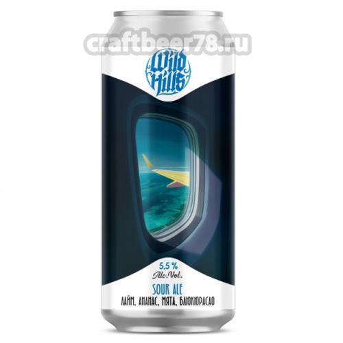 Azure Vortex от Wild Hills - Фруктовый кислый эль 0,45л.