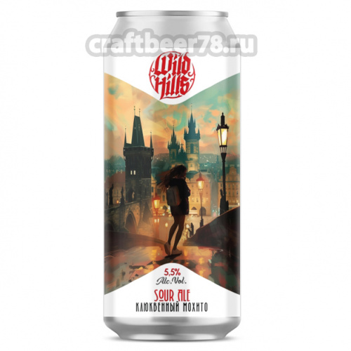 Fizz of Dawn от Wild Hills - Фруктовый кислый эль 0,45л.
