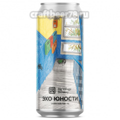 Эхо Юности - Big Village